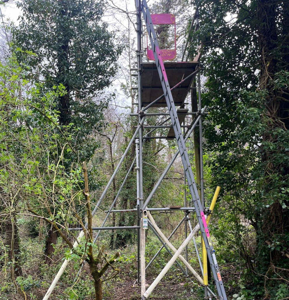 Ipsum Utilities project photo 3